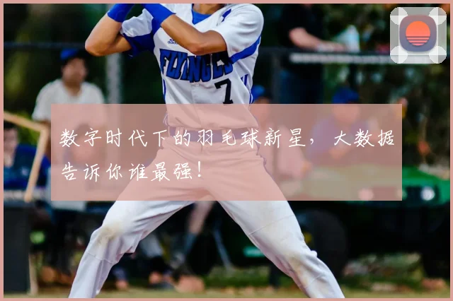 数字时代下的羽毛球新星,大数据告诉你谁最强!